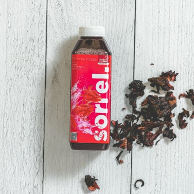 Sorrel ★ TOP SELLER.